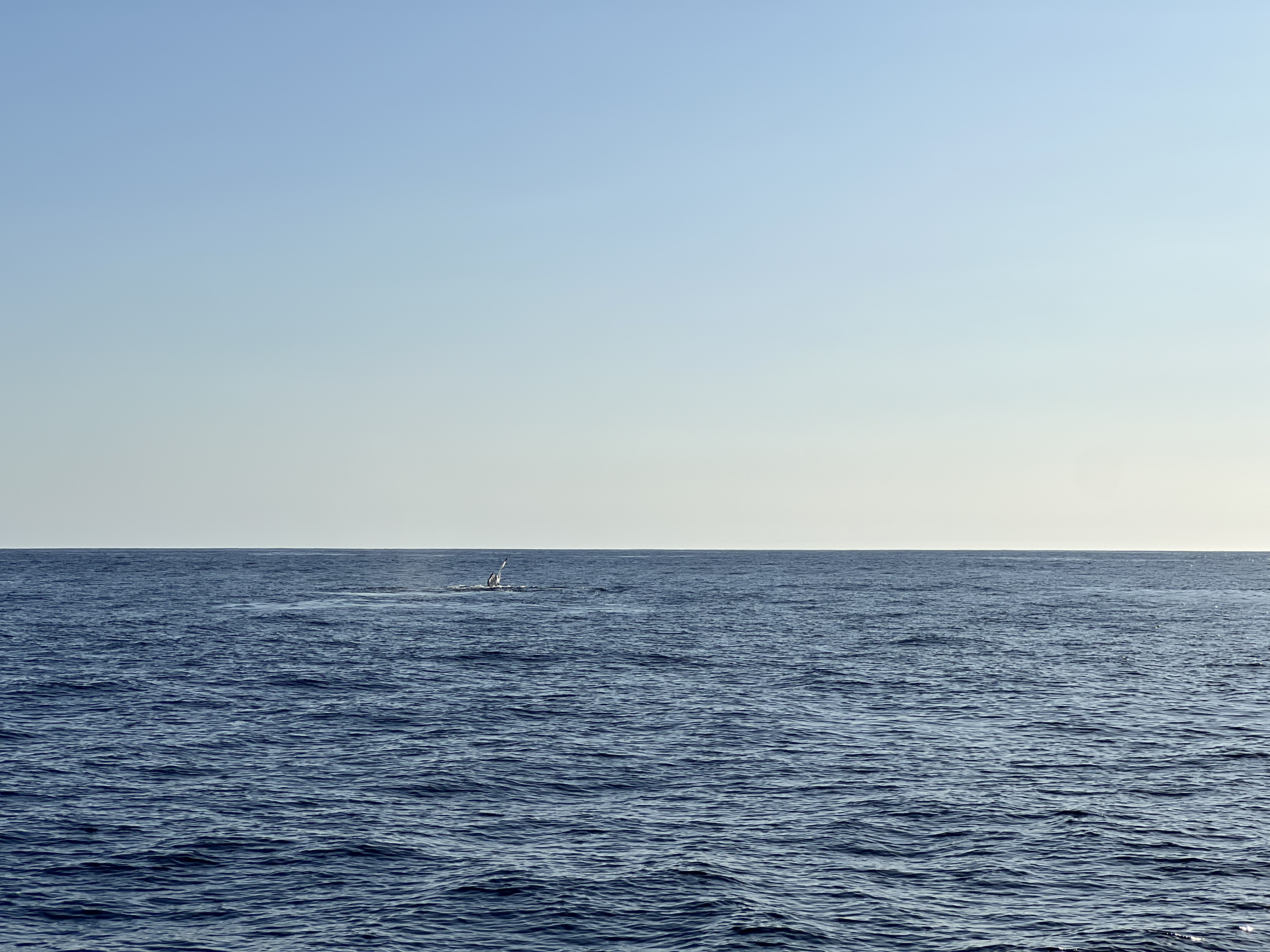 ./2024/13 - Cabo/IMG_4673.jpg